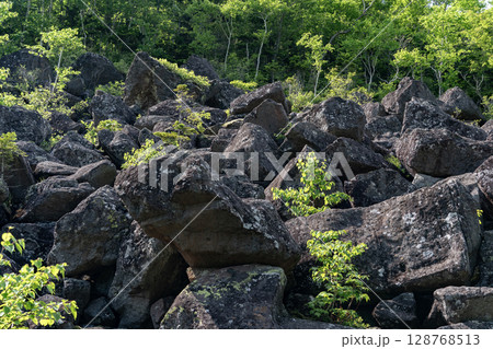 新緑の千畳崩れ 128768513