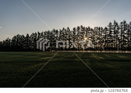 十勝平野の夜明け 十勝平野の夜明け 128768768