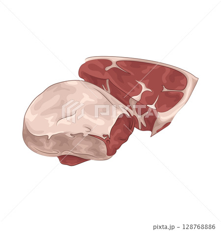Illustration of Meat Illustration of Meat 128768886