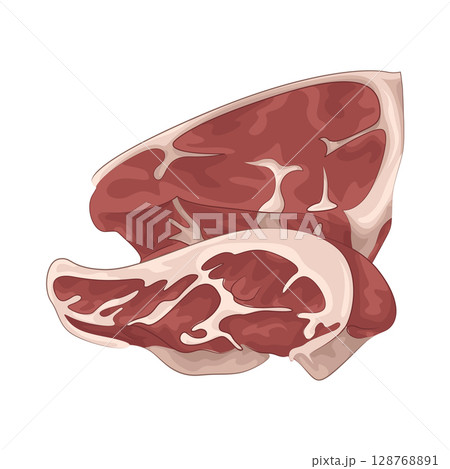 Illustration of Meat Illustration of Meat 128768891