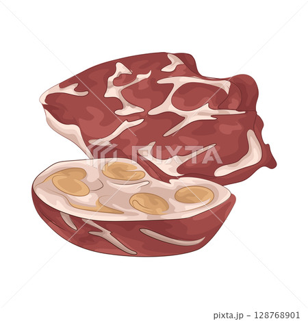 Illustration of Meat 128768901