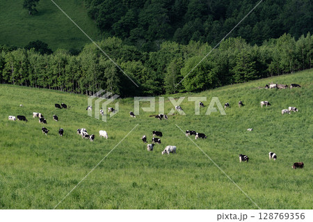 日本一広い牧場 128769356