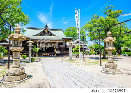 夏の若松惠比須神社　福岡県北九州市 128769414