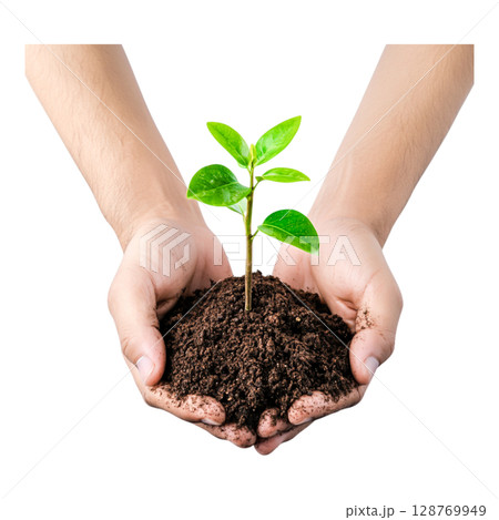 Hands Holding a Small Green Plant in Rich Soil Symbolizing Growth and Environmental Care 128769949