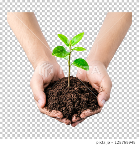 Hands Holding a Small Green Plant in Rich Soil Symbolizing Growth and Environmental Care 128769949