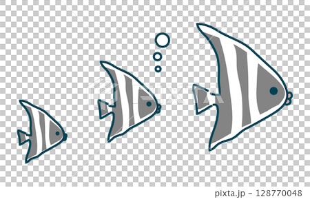 黑白條紋的魚 黑白條紋的魚 128770048