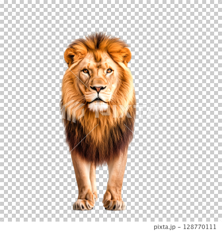 Majestic Lion Staring Fiercely at the Camera in a Vibrant Jungle Setting 128770111