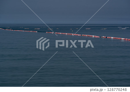 根室海峡の定置網 128770248
