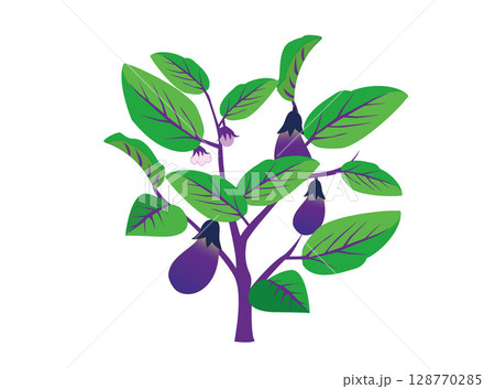 ナスのイラスト素材 ナスのイラスト素材 128770285