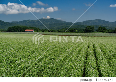 蕎麦の花咲く大地 128770371