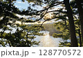 木々の間から見える城ヶ崎海岸 128770572