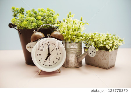 White alarm clock with artificial plants on pink and blue background White alarm clock with artificial plants on pink and blue background 128770870