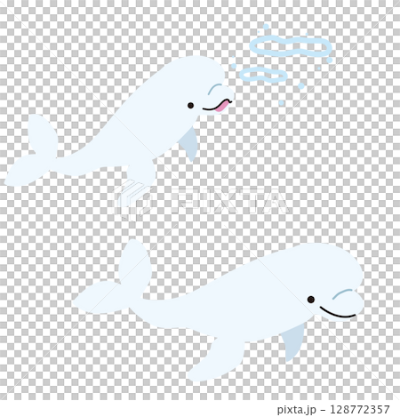 シロイルカのイラスト素材 128772357