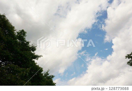 山の天気　急な雨雲　森から見上げた空 128773088