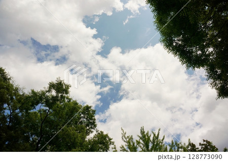 山の天気　急な雨雲　森から見上げた空 128773090
