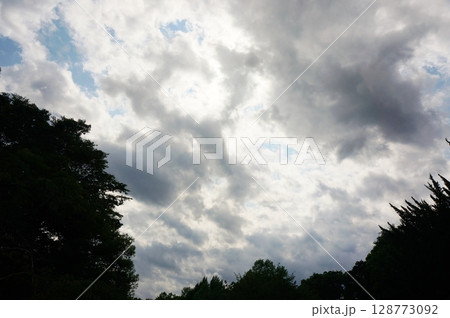 山の天気　急な雨雲　森から見上げた空 128773092