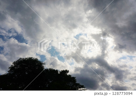 山の天気 急な雨雲 森から見上げた空 山の天気 急な雨雲 森から見上げた空 128773094