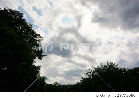 山の天気 急な雨雲 森から見上げた空 山の天気 急な雨雲 森から見上げた空 128773096