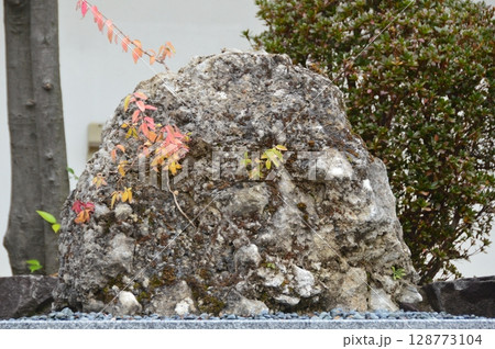 さざれ石（大阪天満宮／大阪府大阪市北区） 128773104