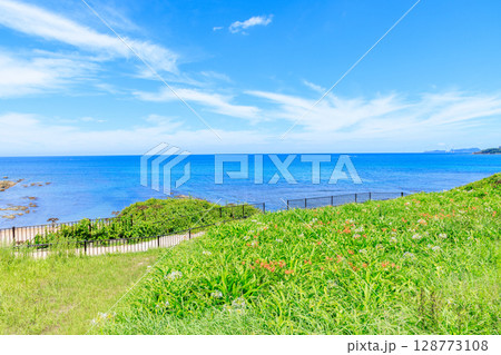 夏の夏井ヶ浜とはまゆう 福岡県芦屋町 夏の夏井ヶ浜とはまゆう 福岡県芦屋町 128773108