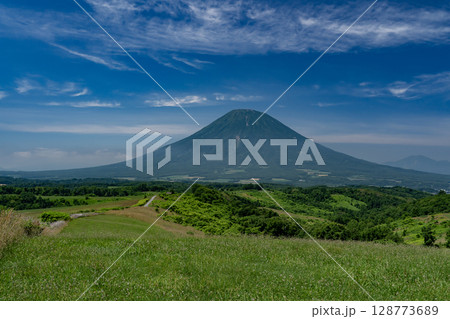 大草原の大地と羊蹄山 大草原の大地と羊蹄山 128773689