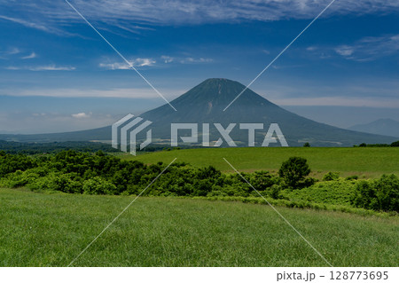 大草原の大地と羊蹄山 128773695