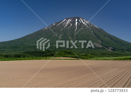 残雪の羊蹄山 128773833