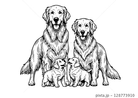 Heartwarming vector illustration of a Golden Retriever family, showcasing adults and their playful, happy puppies. Dogs, Pet. 128773910