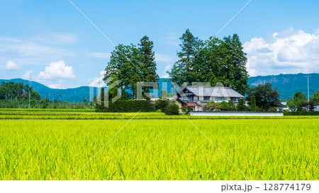 夏の田舎風景 128774179