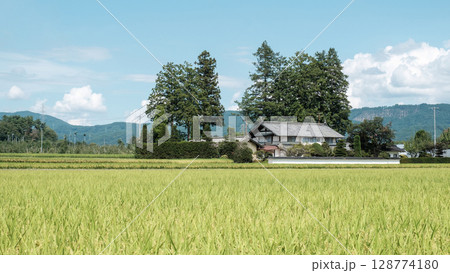 夏の田舎風景 128774180