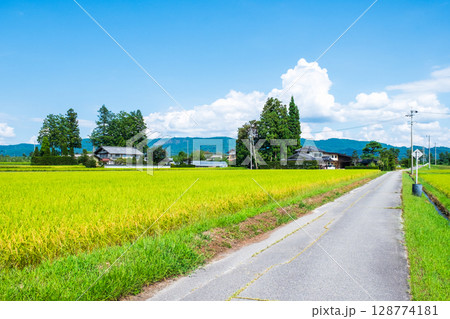 夏の田舎風景 128774181