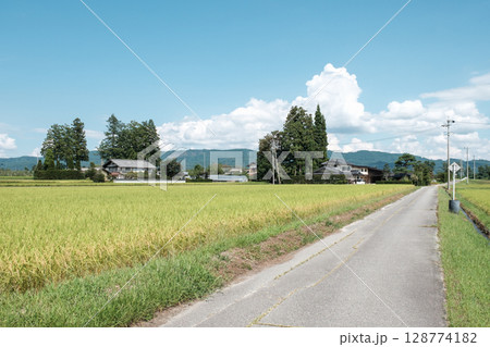 夏の田舎風景 夏の田舎風景 128774182