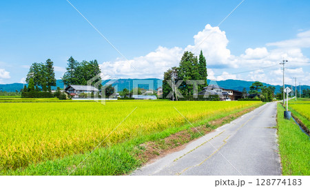 夏の田舎風景 夏の田舎風景 128774183