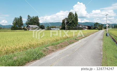 夏の田舎風景 128774247