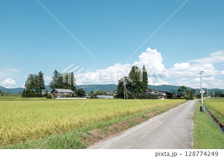夏の田舎風景 128774249