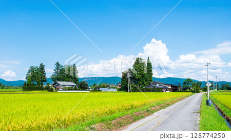 夏の田舎風景 128774250