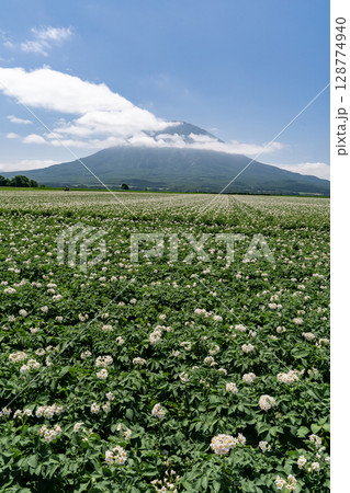 ジャガイモ畑の大地 128774940