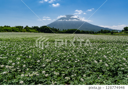 ジャガイモ畑の大地 128774946