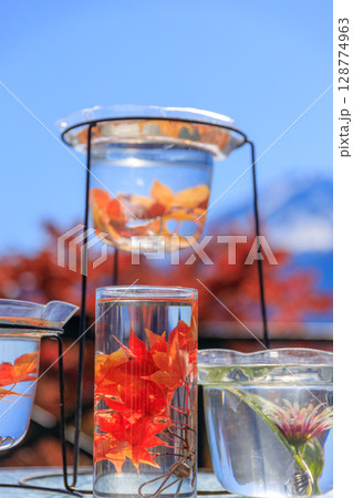 美しい秋を閉じ込めた水中花 128774963