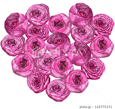 Pink peonies hearts flowers watercolor illustration painting botanical art transparent greeting card stationary wedding bridal home decor. Pink peonies hearts flowers watercolor illustration painting botanical art transparent greeting card stationary wedding bridal home decor. 128775231
