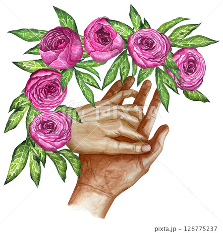 Pink peonies hearts flowers watercolor illustration painting botanical art transparent greeting card stationary wedding bridal home decor. 128775237