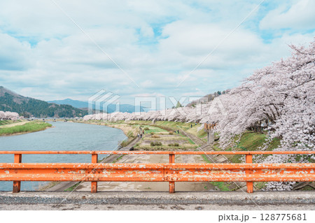 Beautiful Sakura Cherry Blossom in Hinokinai River riverbank in Kakunodate town, Semboku District, Akita Prefecture, Japan. Landmark and Vacation in spring season Beautiful Sakura Cherry Blossom in Hinokinai River riverbank in Kakunodate town, Semboku District, Akita Prefecture, Japan. Landmark and Vacation in spring season 128775681