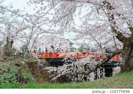 Beautiful Hirosaki Castle park with Sakura Cherry Blossom in Spring, traveling in Hirosaki city, Aomori, Tohoku, Japan. Landmark famous in Japan. Travel and Vacation destination 128775698