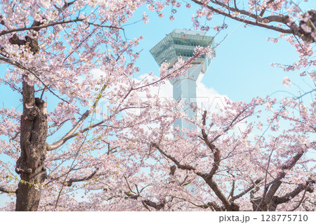 Beautiful Sakura Cherry Blossom in Spring season. Goryokaku Tower park in Hakodate city, Hokkaido prefecture, Japan. famous Landmark, Japan Travel and Vacation destination Beautiful Sakura Cherry Blossom in Spring season. Goryokaku Tower park in Hakodate city, Hokkaido prefecture, Japan. famous Landmark, Japan Travel and Vacation destination 128775710