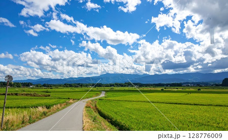 《AI画像》夏の田舎の田畑の中を走る一本の道路 128776009