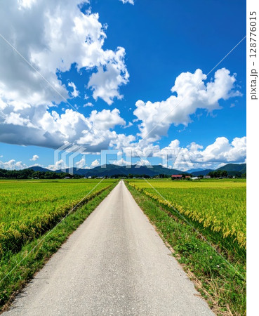 《AI画像》夏の田舎の田畑の中を走る一本の道路 128776015