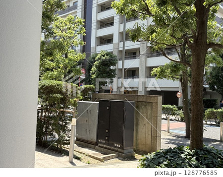 文京区の自然 128776585
