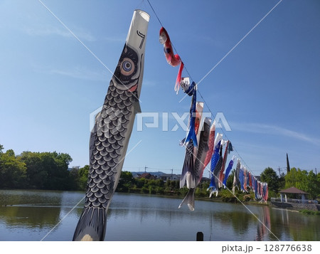枚方市樟葉　鏡伝池緑地に泳ぐ鯉のぼり 128776638