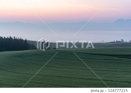 初夏の田園風景と大地 初夏の田園風景と大地 128777225