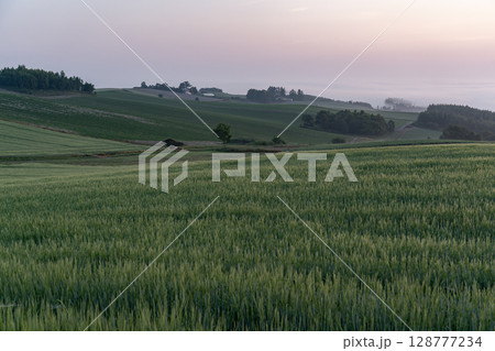 初夏の田園風景と大地 初夏の田園風景と大地 128777234